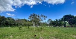 2.4 Acres Building Lot in Osa Peninsula