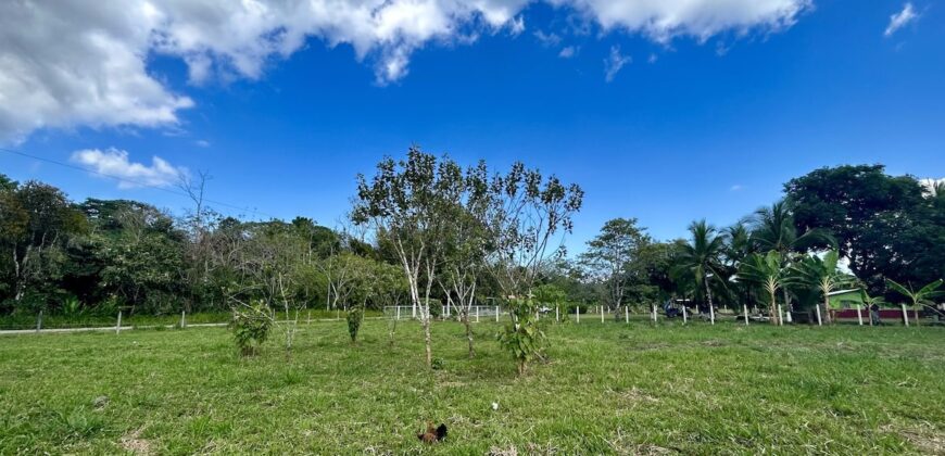 2.4 Acres Building Lot in Osa Peninsula