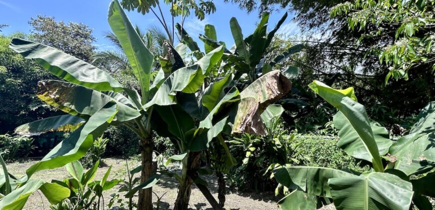 Charming Turn-Key Home in Puerto Jiménez