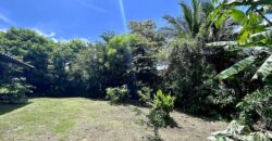 Charming Turn-Key Home in Puerto Jiménez