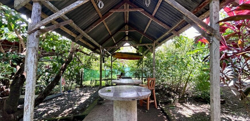 Charming Turn-Key Home in Puerto Jiménez