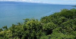 12 Acre Beachfront Property in Osa Peninsula