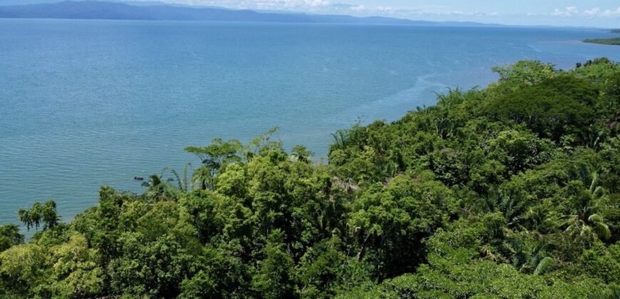 12 Acre Beachfront Property in Osa Peninsula
