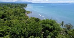 12 Acre Beachfront Property in Osa Peninsula