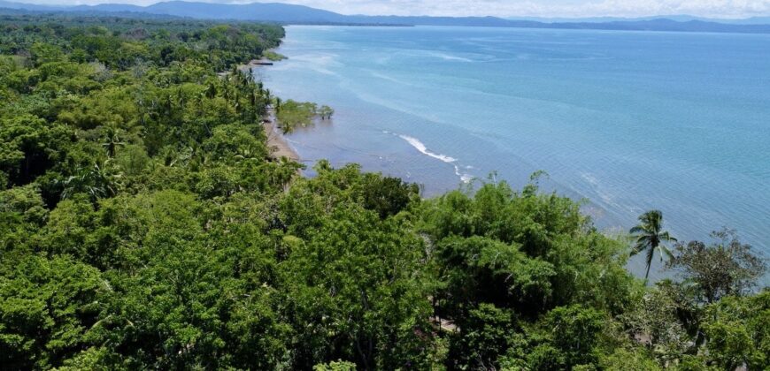 12 Acre Beachfront Property in Osa Peninsula