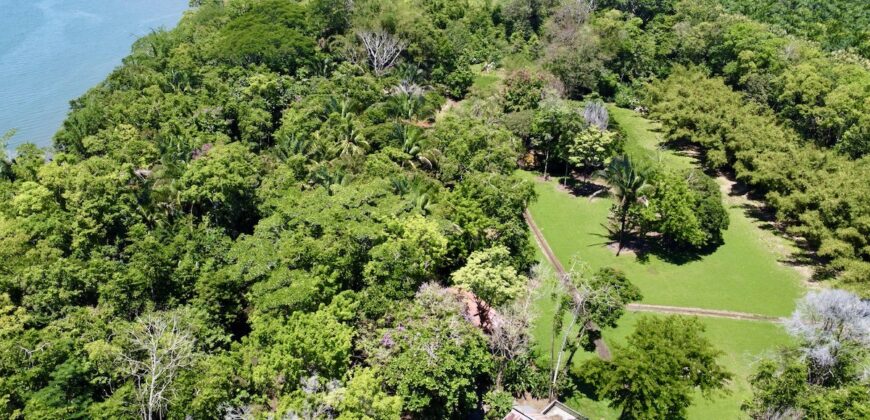 12 Acre Beachfront Property in Osa Peninsula