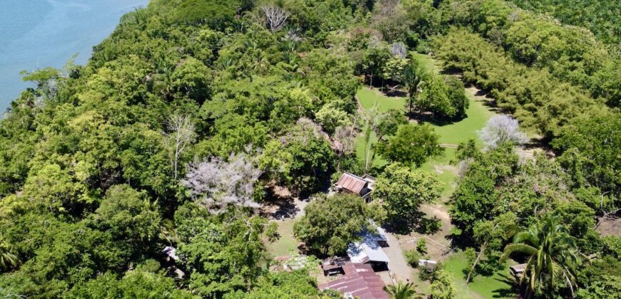 12 Acre Beachfront Property in Osa Peninsula