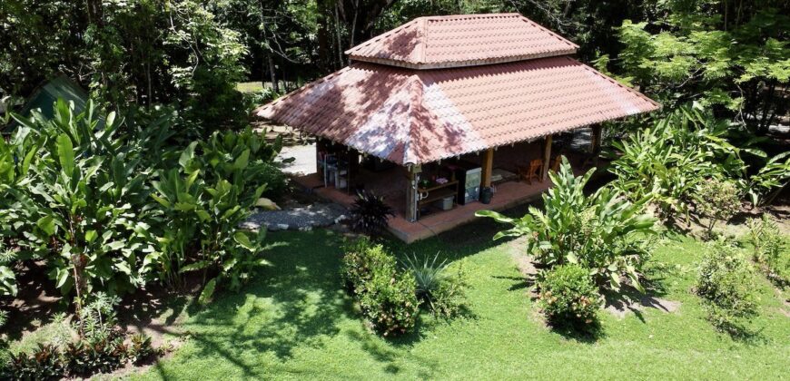 12 Acre Beachfront Property in Osa Peninsula