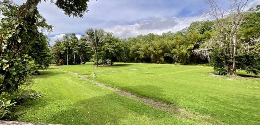 12 Acre Beachfront Property in Osa Peninsula