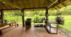 12 Acre Beachfront Property in Osa Peninsula