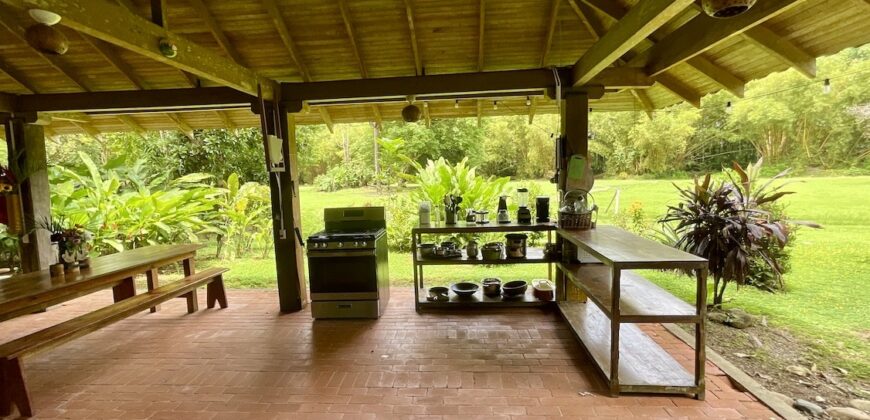 12 Acre Beachfront Property in Osa Peninsula