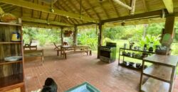 12 Acre Beachfront Property in Osa Peninsula