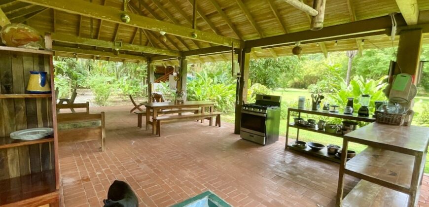 12 Acre Beachfront Property in Osa Peninsula