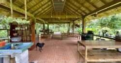 12 Acre Beachfront Property in Osa Peninsula