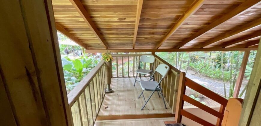 12 Acre Beachfront Property in Osa Peninsula