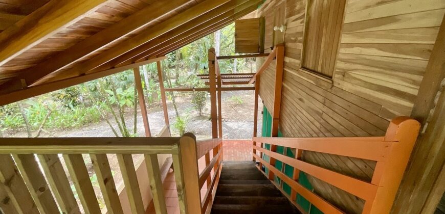 12 Acre Beachfront Property in Osa Peninsula