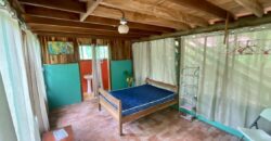 12 Acre Beachfront Property in Osa Peninsula