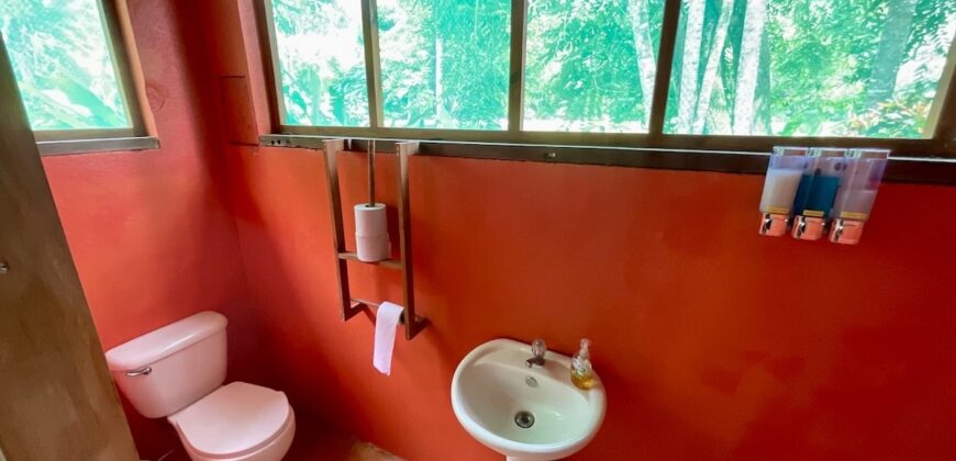 12 Acre Beachfront Property in Osa Peninsula