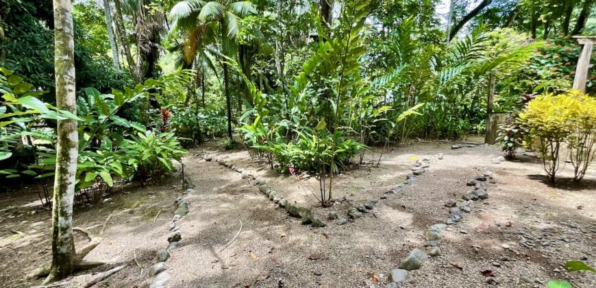 12 Acre Beachfront Property in Osa Peninsula