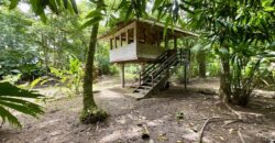12 Acre Beachfront Property in Osa Peninsula
