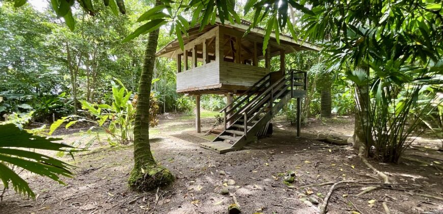 12 Acre Beachfront Property in Osa Peninsula