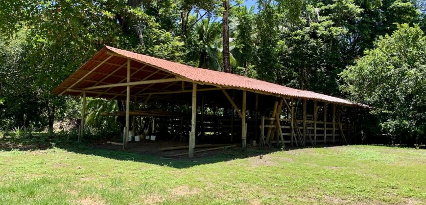 12 Acre Beachfront Property in Osa Peninsula