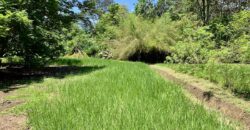 12 Acre Beachfront Property in Osa Peninsula