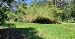 12 Acre Beachfront Property in Osa Peninsula