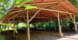 12 Acre Beachfront Property in Osa Peninsula