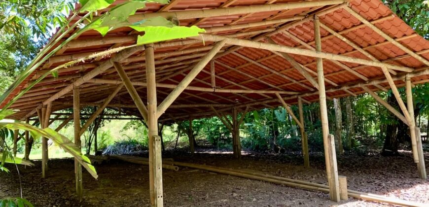 12 Acre Beachfront Property in Osa Peninsula