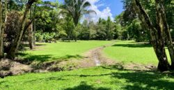 12 Acre Beachfront Property in Osa Peninsula