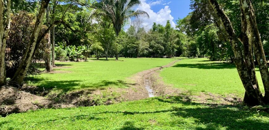 12 Acre Beachfront Property in Osa Peninsula