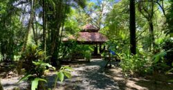 12 Acre Beachfront Property in Osa Peninsula