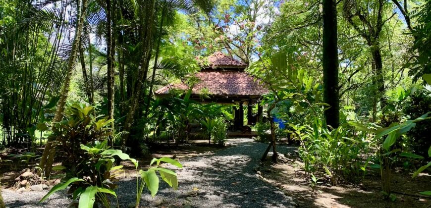 12 Acre Beachfront Property in Osa Peninsula