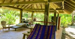 12 Acre Beachfront Property in Osa Peninsula