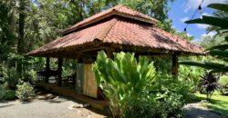 12 Acre Beachfront Property in Osa Peninsula