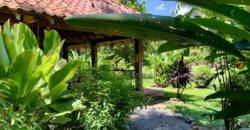 12 Acre Beachfront Property in Osa Peninsula