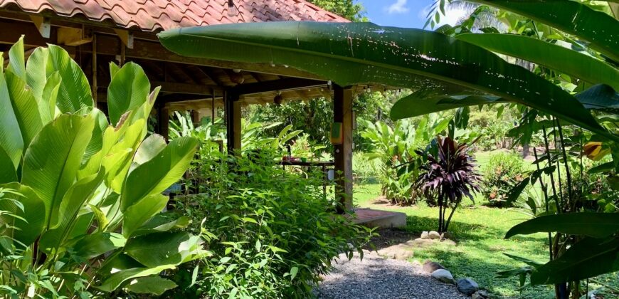 12 Acre Beachfront Property in Osa Peninsula