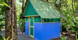 12 Acre Beachfront Property in Osa Peninsula