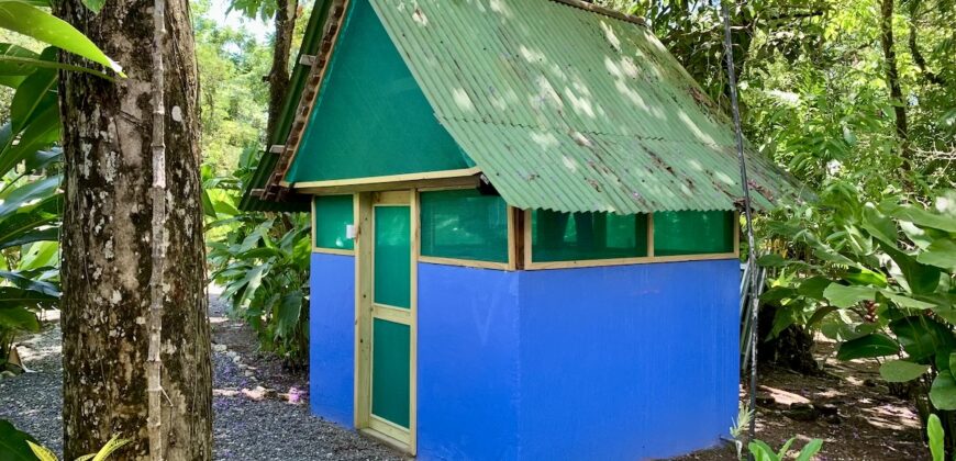 12 Acre Beachfront Property in Osa Peninsula