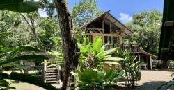12 Acre Beachfront Property in Osa Peninsula