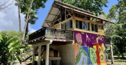 12 Acre Beachfront Property in Osa Peninsula