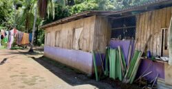 12 Acre Beachfront Property in Osa Peninsula