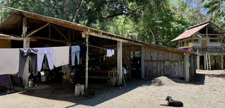 12 Acre Beachfront Property in Osa Peninsula