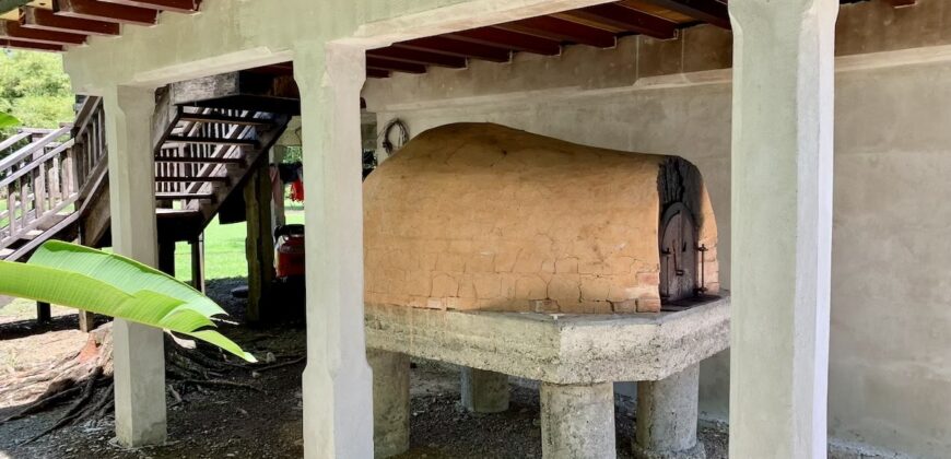 12 Acre Beachfront Property in Osa Peninsula