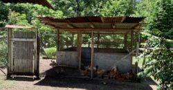 12 Acre Beachfront Property in Osa Peninsula