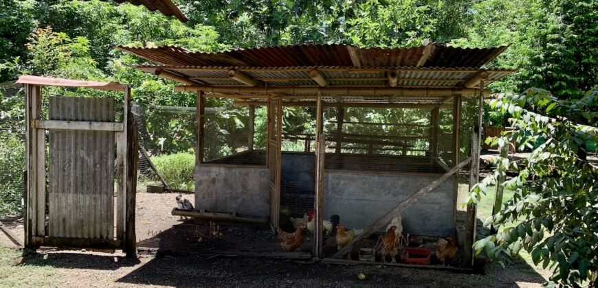 12 Acre Beachfront Property in Osa Peninsula