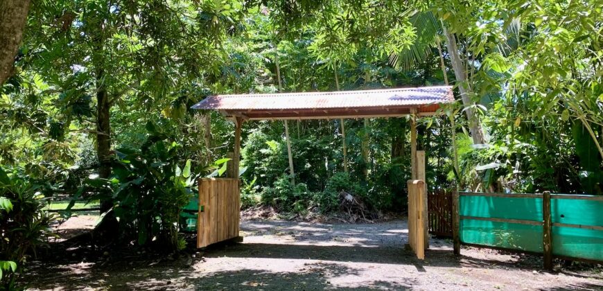 12 Acre Beachfront Property in Osa Peninsula