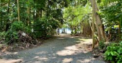 12 Acre Beachfront Property in Osa Peninsula