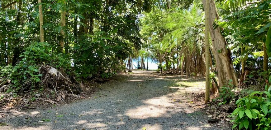 12 Acre Beachfront Property in Osa Peninsula